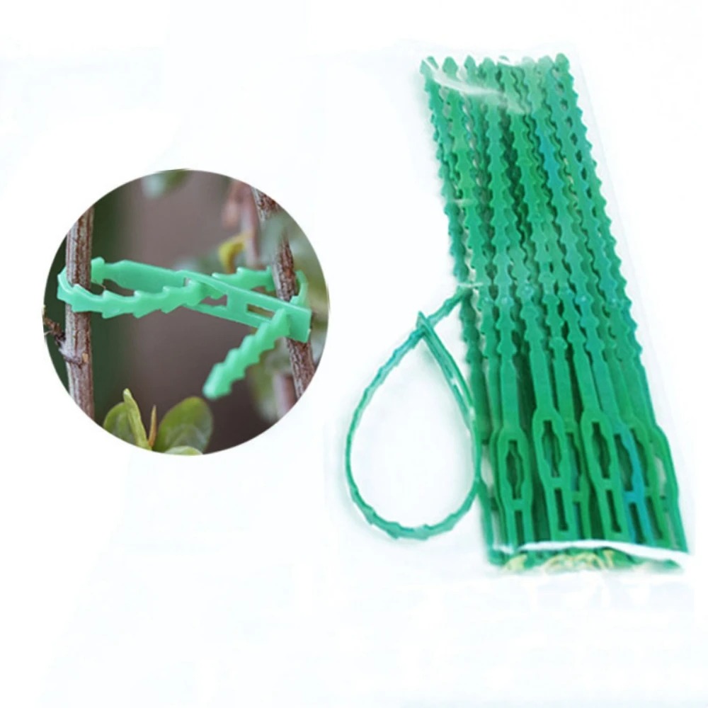 50pcs Adjustable Plastic Plant - Vine Climbing Plastic ulasan dan harga