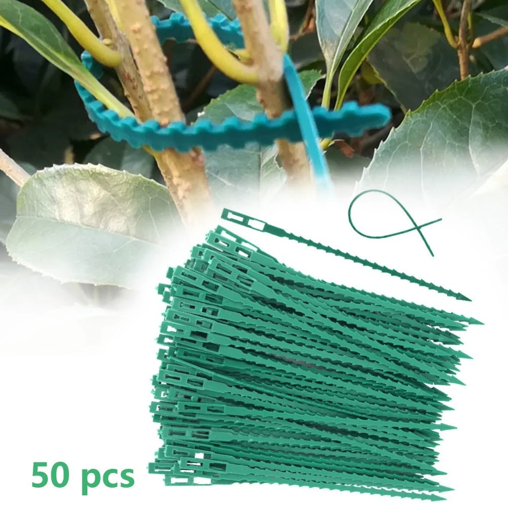 50pcs Adjustable Plastic Plant - Vine Climbing Plastic ulasan dan harga