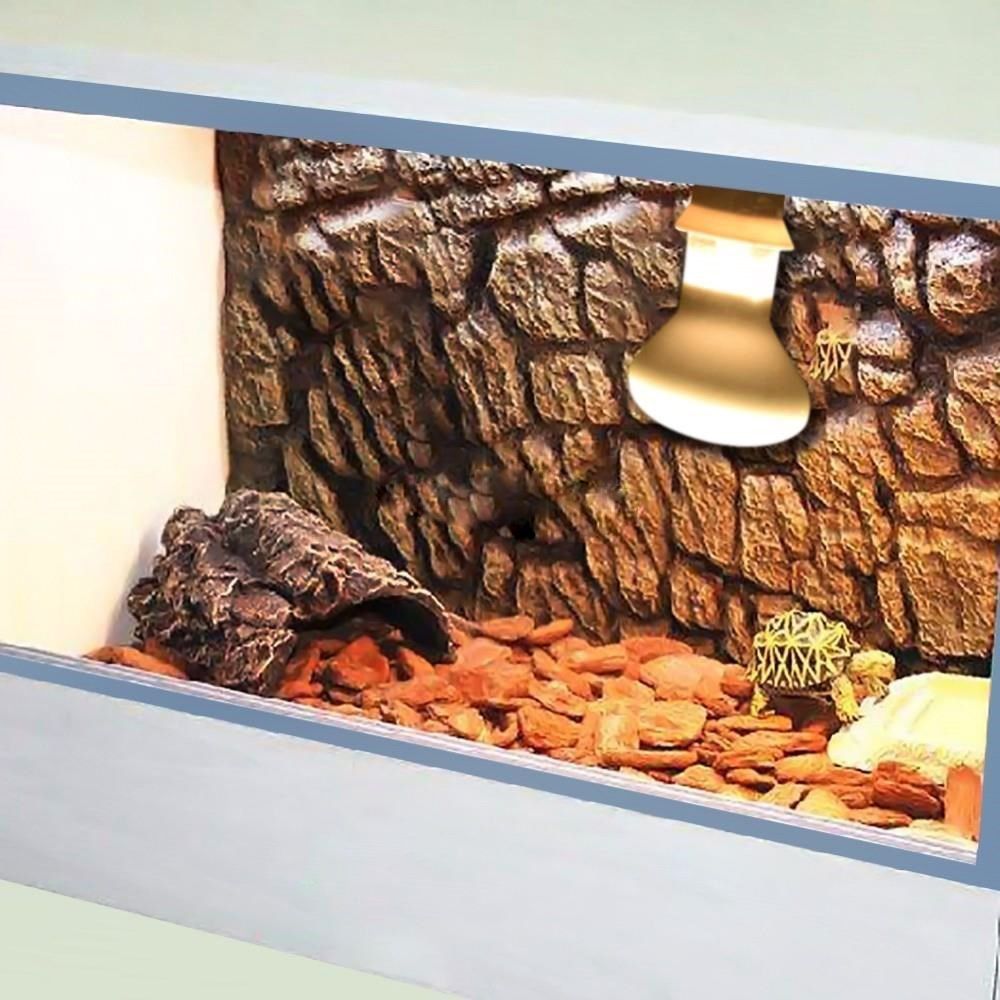 Amphibians Heat Lamp Heater Ha - Basking Bulb Halogen ulasan dan harga