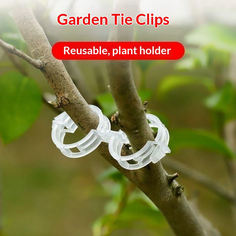 Plastic Plant Support Clips Re - Vine Climbing Plastic ulasan dan harga