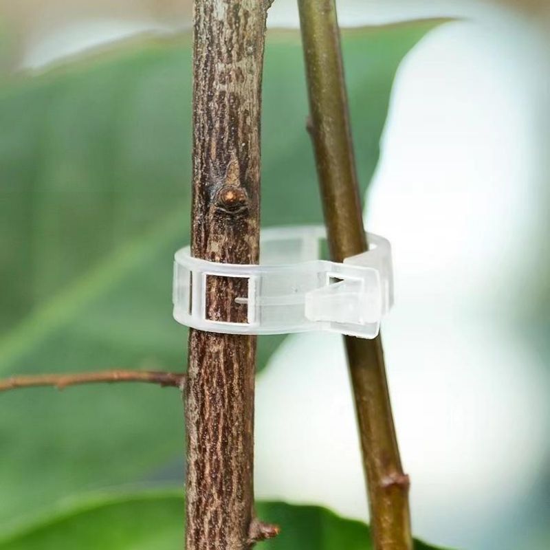 Plastic Plant Support Clips Re - Vine Climbing Plastic ulasan dan harga